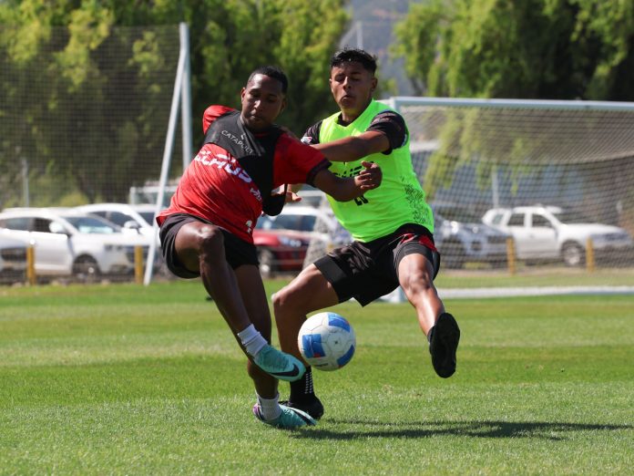 WhatsApp Image 2025-12-08 at 17.06.44