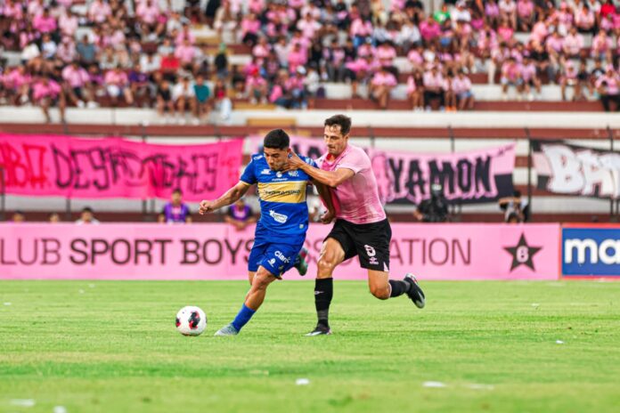 WhatsApp Image 2026-01-26 at 11.03.49